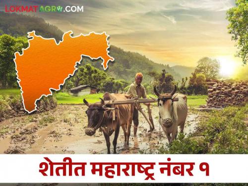 Maharashtra is the best agricultural state in the country; Award announced by Agriculture Leadership Committee | महाराष्ट्र ठरले देशात सर्वोत्कृष्ट कृषी राज्य; कृषी नेतृत्व समितीचा पुरस्कार जाहीर