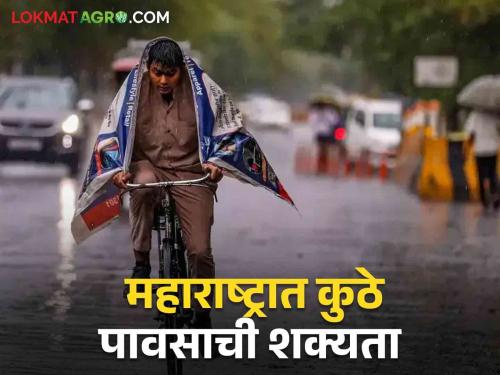 Latest News Heavy rain in some places, some parts dry When does it rain in Maharashtra | Maharashtra Rain Update : राज्यात काही ठिकाणी मुसळधार, काही भाग कोरडाच, सर्वदूर पाऊस कधी? 