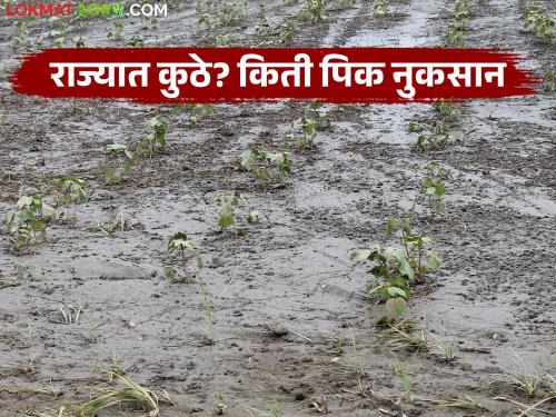 Pik Nuksan: Crops damaged on 23 lakh 70 thousand hectares in the state; 'These' districts are the most affected | Pik Nuksan : राज्यात तब्बल २३ लाख ७० हजार हेक्टरवरील पिकांचे नुकसान; 'या' जिल्ह्यांना सर्वाधिक फटका
