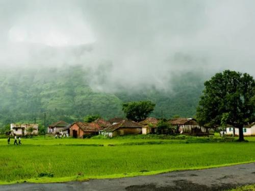 Latest News Heavy rain continues in Mumbai next four days weather forecast in Maharashtra | Maharashtra Rain Update : मुंबईत पावसाचा जोर कायम, पुढील चार दिवस महाराष्ट्रात पाऊस कसा असेल? 