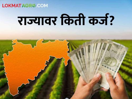 Increase in state debt compared to previous year.. increased the loan debt | मागील वर्षाच्या तुलनेत राज्याच्या कर्जामध्ये वाढ.. बोजा वाढला