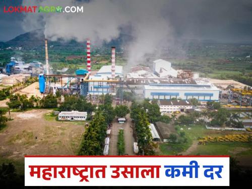 How is sugarcane getting a better price in Gujarat compared to Sangli and Kolhapur; Know in detail | सांगली व कोल्हापूरच्या तुलनेत गुजरातमध्ये उसाला मिळतोय कसा दर; जाणून घ्या सविस्तर