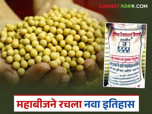latest news MahaBeej Seeds: MahaBeej Akola Laboratory gets national NABL accreditation; New standard for seed quality | MahaBeej Seeds : महाबीज अकोला प्रयोगशाळेला राष्ट्रीय NABL मानांकन; बियाण्यांच्या गुणवत्तेला नवा दर्जा