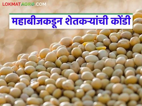 latest news Mahabeej Soybean Seeds: Mahabeej gives farmers a big blow before Kharif season Read in detail | Mahabeej Soybean Seeds: महाबीजकडून शेतकऱ्यांना खरीप आधीच मोठा झटका वाचा सविस्तर