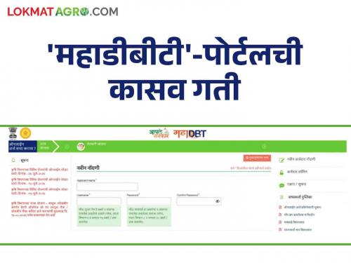 Mahadbt's servers are slow; Application is not uploaded | महाडीबीटीचे सर्व्हर स्लो; अर्ज अपलोड होइना