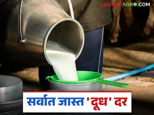 Dudh Dar : This team is paying the highest price for milk in the state; Read in detail | Dudh Dar : राज्यात हा संघ देतोय दुधाला सगळ्यात जास्त दर; वाचा सविस्तर