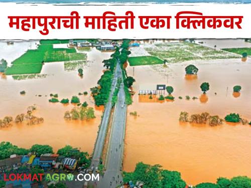 Now you will get flood information with one click; This website is launching soon | आता एका क्लिकवर मिळणार महापुराची माहिती; लवकरच सुरु होतेय ही वेबसाईट