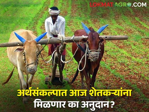 Interim Budget Maharashtra: Budget session started in Vidhan Sabha, important announcements were made for farmers.. | स्प्रिंकलर, ठिबकसह अनेक गोष्टींचे अनुदान थकले, राज्याच्या अर्थसंकल्पानंतर अनुदानाचे पैसे येणार का खात्यावर?