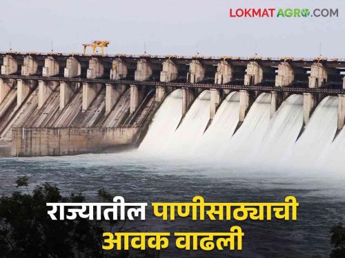 Maharashtra Dam Storage where the discharge increased and where the inflow; Read updates on state water resources | Maharashtra Dam Storage कुठे वाढला विसर्ग तर कुठे आवक; वाचा राज्याच्या पाणीसाठ्याची अद्यावत माहिती