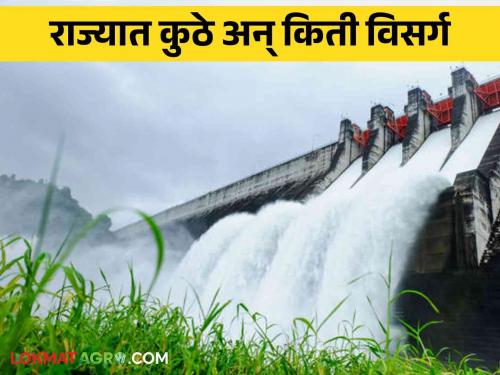 Maharashtra Dam Discharged: Where and how much discharge has been increased in the state, read in detail | Maharashtra Dam Discharged : राज्यात कुठे अन् किती विसर्ग वाढवला, वाचा सविस्तर