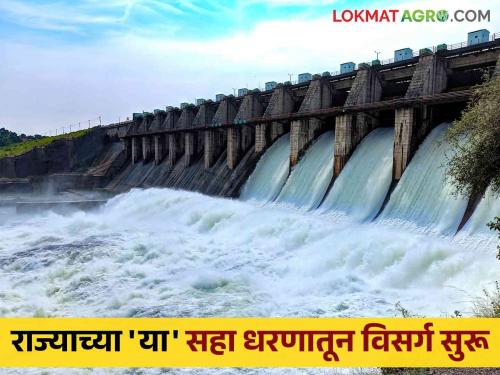 Maharashtra Dam Storage Where is the discharge from the state's dam and where is the highest inflow of water Read updated information | Maharashtra Dam Storage राज्याच्या धरणातून कुठे सुरू आहे विसर्ग तर कुठे आहे पाण्याची सर्वाधिक आवक वाचा अद्यावत माहिती