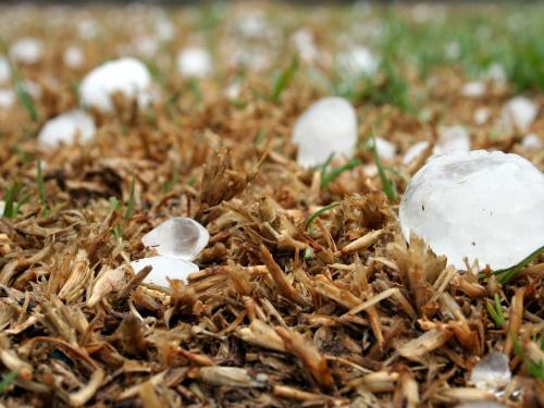 Latest Marathi News Chance of hail accompanied by unseasonal weather in most districts of Maharashtra | शेतकऱ्यांपुढं नवं संकट! महाराष्ट्रातील बहुतांश जिल्ह्यात अवकाळीसोबत गारपिटीची शक्यता