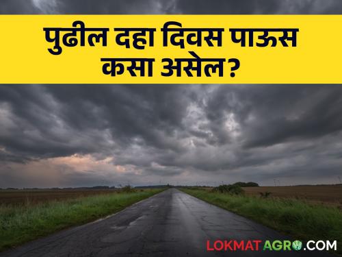 Latest news Maharashtra Rain Update Chance of rain in 'districts of Maharashtra for next ten days Know in detail  | Maharashtra Rain Update : पुढील दहा दिवस महाराष्ट्रातील 'या' जिल्ह्यांत पावसाची शक्यता? जाणून घ्या सविस्तर 