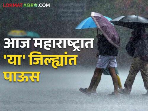 Maharashtra Rain Update red alert in amravati and yellow alert for other Maharashtra today, read in detail  | Maharashtra Rain Update : आज महाराष्ट्रात 'या' जिल्ह्यांत पाऊस, कुठे रेड, तर कुठे ऑरेंज, यलो अलर्ट, वाचा सविस्तर 