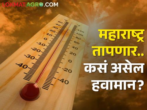 latest News how Temperature and rain weather forecast for next few days in Maharashtra | Weather Report : महाराष्ट्रात उन्हाचं स्वरूप ते पावसाची शक्यता आहे काय? जाणून घ्या हवामान अंदाज 