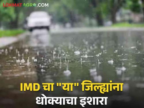 Maharashtra Weather Update : Low pressure zone active; What will be the immediate effect in the next 48 hours? Read in detail | Maharashtra Weather Update : कमी दाबाचा पट्टा सक्रिय; येत्या ४८ तासांत काय होणार थेट परिणाम? वाचा सविस्तर