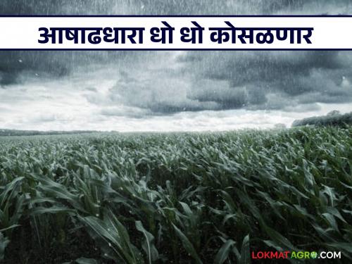 Heavy rains expected in the state for the next four days; Meteorological Department predicts heavy rains | राज्यात पुढील चार दिवस आषाढधारांचे; हवामानशास्त्र विभागाने दिला मुसळधार पावसाचा अंदाज