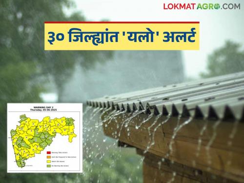 latest news Maharashtra Weather Update: Rains again in the state; Yellow alert in 30 districts including Mumbai and Pune, read in detail | Maharashtra Weather Update: राज्यात पुन्हा पावसाची हजेरी; मुंबई, पुण्यासह ३० जिल्ह्यांत यलो अलर्ट वाचा सविस्तर