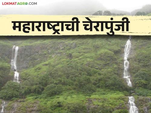 Read the highest rainfall places in Maharashtra and detailed rainfall | महाराष्ट्रात सर्वाधिक पाऊस पडणारी ठिकाणे आणि पडणारा पाऊस वाचा सविस्तर