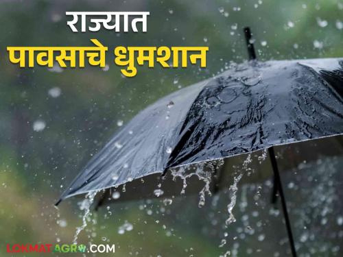 Maharashtra Rain Update: Rain lashed the state; Marathwada recorded 'so much' percent rainfall | Maharashtra Rain Update : राज्याला पावसाने झोडपले ; मराठवाड्यात 'इतके' टक्के पावसाची नोंद