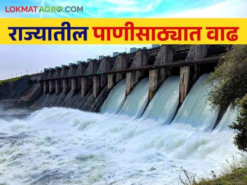 Maharashtra Dam Storage Water storage in the state increased; Most of the discharge takes place from this dam | Maharashtra Dam Storage राज्यातील पाणीसाठा वाढला; 'या' धरणातून होतोय सर्वाधिक विसर्ग