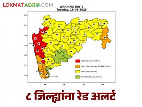 latest news Maharashtra Weather Update: IMD Alert; Red alert declared in 'these' districts of the state Read in detail | Maharashtra Weather Update : IMD अलर्ट; राज्यातील 'या' जिल्ह्यांमध्ये रेड अलर्ट जाहीर वाचा सविस्तर