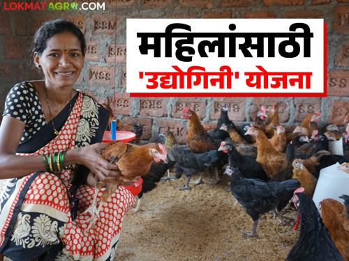 Women are getting collateral free loans of up to Rs 5 lakh for agriculture based businesses; What is the scheme? | शेती आधारित व्यवसायांसाठी महिलांना मिळतंय ५ लाखांपर्यंत विनातारण कर्ज; काय आहे योजना?