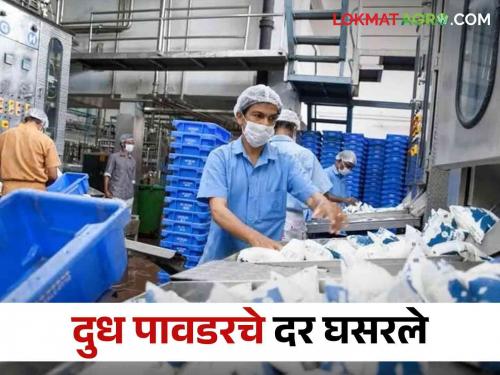 Nandini Milk: which collects 1 crore liters of milk and manufactures 21 lakh liters of milk powder every day | दररोज १ कोटी लिटर दूध संकलन आणि २१ लाख लिटर दूधाची पावडर निर्मिती करणारा दूध महासंघ