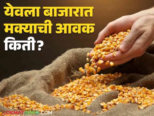 Maize Bajar Bhav : Inflow of maize of this variety in the state market increased; Read the price in detail | Maize Bajar Bhav : राज्यातील बाजारात 'या' जातीच्या मक्याची आवक वाढली ; काय मिळतोय भाव ते वाचा सविस्तर