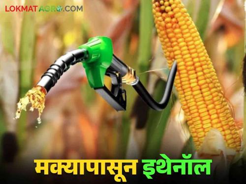 Bio Ethanol : The process of producing ethanol from different grains will be accelerated | Bio Ethanol : वेगवेगळ्या धान्यापासून इथेनॉल तयार करण्याची प्रक्रिया गतिमान होणार