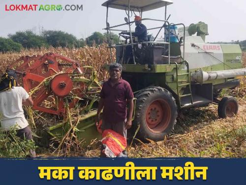 Maka Kadani Yantra : There is no labor for maize harvesting and now used machine for harvesting | Maka Kadani Yantra : मका काढणीला मजूर मिळेनात? आली अद्यावत मशीन