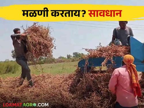 What precautions should be taken to avoid accidents while using the threshing machine read in detail | मळणी यंत्र वापरताना होणारे अपघात टाळण्यासाठी काय खबरदारी घ्याल? वाचा सविस्तर