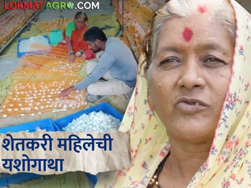 The addition of modernity to traditional agriculture, the success story of a farmer woman | Success Story : रेशीम उद्योगाशी गाठ बांंधली तेव्हा अंजनाबाईंचा संसार रुळावर आला