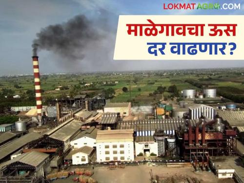 How did Malegaon Sugar Factory pay sugarcane prices in the last 10 years? In which year did the prices go up the most? | माळेगाव साखर कारखान्याने मागील १० वर्षात उसाला कसा दिला दर? सर्वाधिक दर कोणत्या वर्षी?