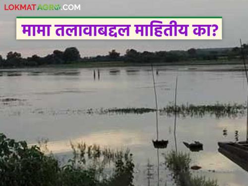 Latest News Agriculture News Do you know these things about Mama Lake Read in detail | Mama Talav : मामा तलावाबाबत 'या' गोष्टी तुम्हाला माहिती आहेत का? वाचा सविस्तर 