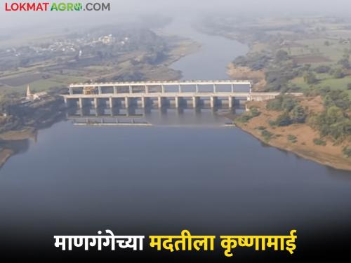 Water released into Man River from Tembu Irrigation Project | टेंभू सिंचन प्रकल्पातून माण नदीत सोडले पाणी