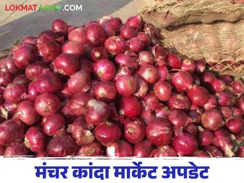 Kanda Bajar Bhav : How is onion price going in Manchar Agricultural Market Committee? | Kanda Bajar Bhav : मंचर कृषी उत्पन्न बाजार समितीत कसा सुरु आहे कांद्याच्या भाव