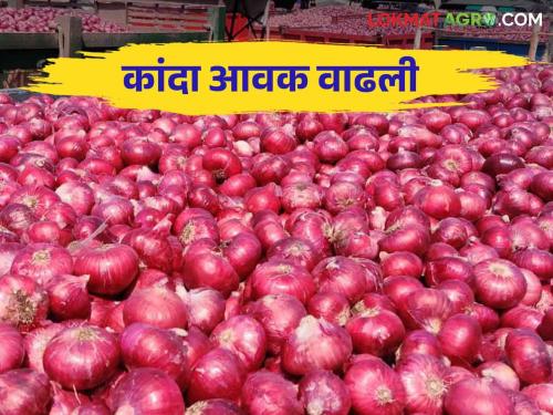 Kanda Bajarbhav : Onion fetched the highest price in Manchar market | Kanda Bajarbhav : मंचर मार्केटमध्ये कांद्याला मिळाला सर्वाधिक भाव