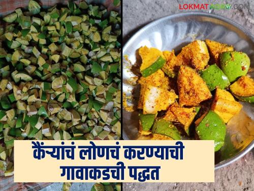 Latest News Mango Pickle How to make Gavran style pickle that lasts for two years see recipe | Mango Pickle : लोणचं बनवायचं, अशा पद्धतीने बनवा दोन वर्ष टिकणारं गावरान पद्धतीचं लोणचं, वाचा सविस्तर 