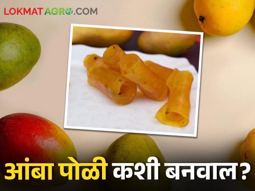 Amba Poli There is a growing demand for this product made from mango abroad | Amba Poli आंब्यापासून बनविलेल्या या पदार्थाला परदेशात वाढती मागणी