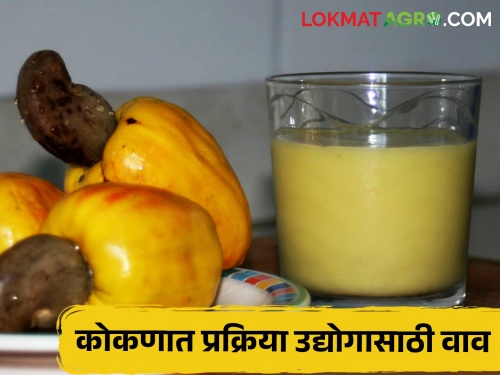 Processing industry on Konkani fruits ensures more income | कोकणी मेव्यावरील प्रक्रिया उद्योग अधिकच्या उत्पन्नाची हमी