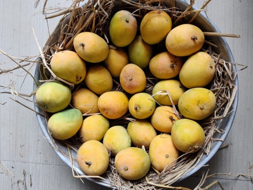 Payment to mango growers after eight years | आंबा उत्पादकांना आठ वर्षांनी पैसे