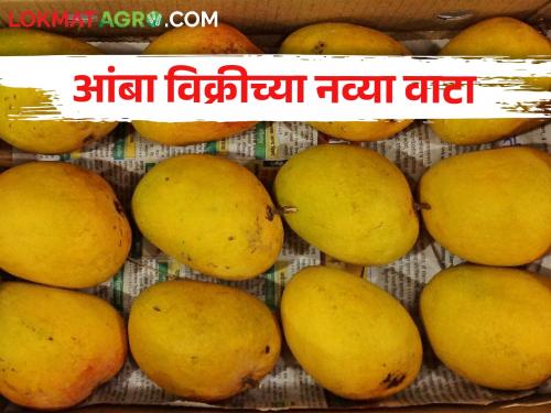 Mangoes are getting low price in Vashi market, farmers are looking for new options | वाशी मार्केटमध्ये आंब्याला मिळतोय कमी भाव, शेतकऱ्यांनी शोधले नवे पर्याय