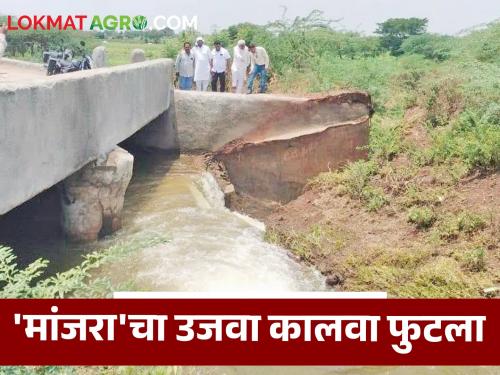 latest news Manjara Canal : Due to the rupture of the right canal of 'Manjara', water flowed in the fields all day long! | Manjara Canal: ‘मांजरा’चा उजवा कालवा फुटला! उन्हाळ्यात हजारो लिटर पाण्याचा अपव्यय वाचा सविस्तर