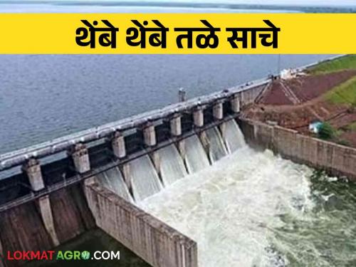 Manjara Dam Water Storage Manjara in live stock; 48.951 dalghmi of water storage in the project | Manjara Dam Water Storage मांजरा जिवंत साठ्यात; प्रकल्पात ४८.९५१ दलघमी झाला पाणीसाठा