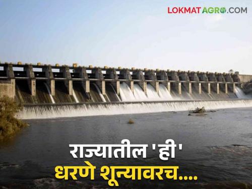 Latest News Majalgaon, Manjra, Khadakpurna dams in maharashtra zero percent see todays dam storage of maharashtra | Maharashtra Dam Storage : राज्यातील 'ही' धरणे शून्यावरच, वाचा कुठल्या धरणांत किती पाणीसाठा झाला? 