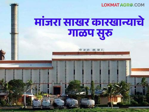 Sugar Factory : The season begins at Manjra Sugar Factory ; Start of solar power project | Sugar Factory : मांजरा साखर कारखान्याच्या गळीत हंगामास सुरुवात; सौर ऊर्जा प्रकल्पास प्रारंभ