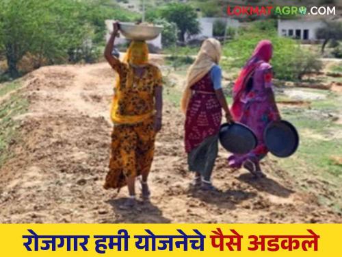 Latest News Rojgar Hami Yojna Central government has paid 893 crores to MNREGA laborers in maharashtra know in detail  | Rojgar Hami Yojna : केंद्र सरकारने राज्यातील मनरेगा मजुरांचे 893 कोटी थकवले, जाणून घ्या सविस्तर 