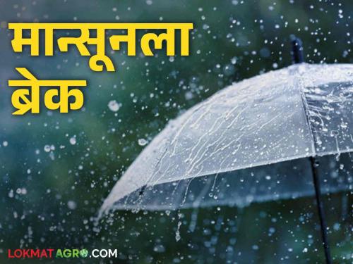 Maharashtra Weather: Monsoon has been on break for seven days, where is the warning today? | Maharashtra Weather सात दिवसांपासून मान्सूनला लागलाय ब्रेक, आज कुठे इशारा