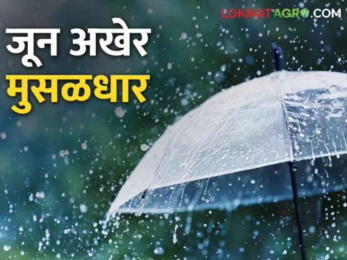 Weather Update Maharashtra Heavy rain is likely in this district in Maharashtra till June 30 | Weather Update Maharashtra ३० जूनपर्यंत महाराष्ट्रात या जिल्ह्यात जोरदार पावसाची शक्यता